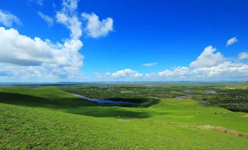 草與禾 中華文明四千年融合史與農副產品的淵源